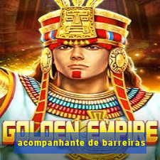 acompanhante de barreiras